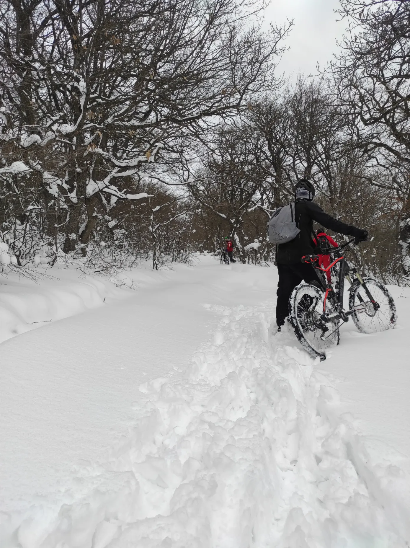 Bike tour to Karsani